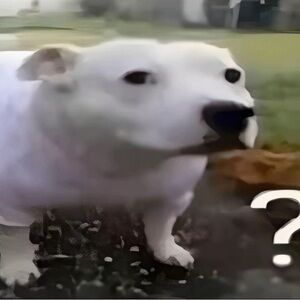 Meet your Posher, Emm